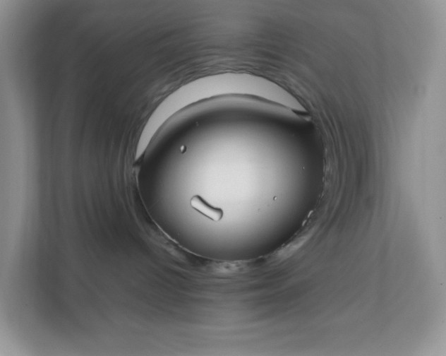 X0000112040096200908171520