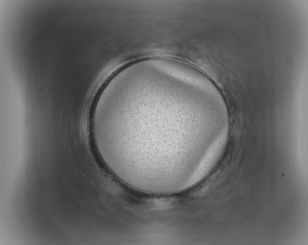 X0000112040103200908171519