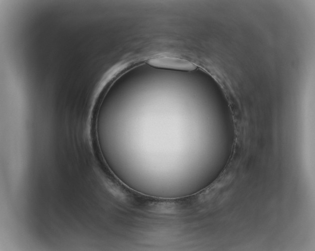 X0000112040104200908171519
