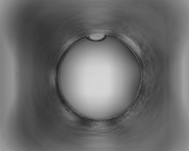 X0000112040107200908171519