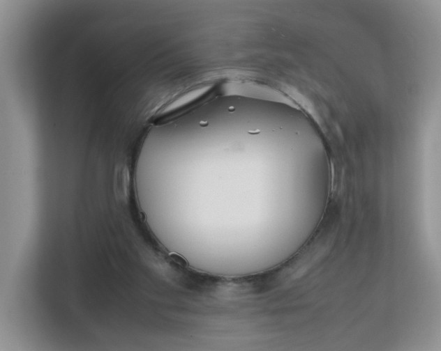 X0000112040109200908171519