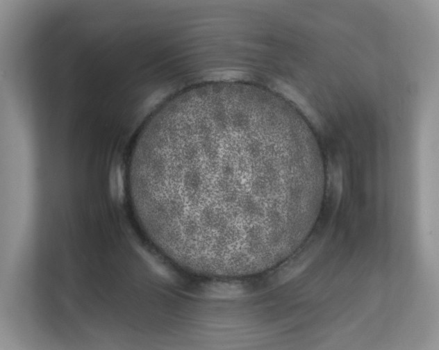 X0000112040110200908171519