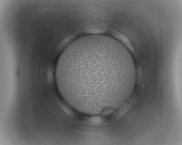 X0000112040114200908171519