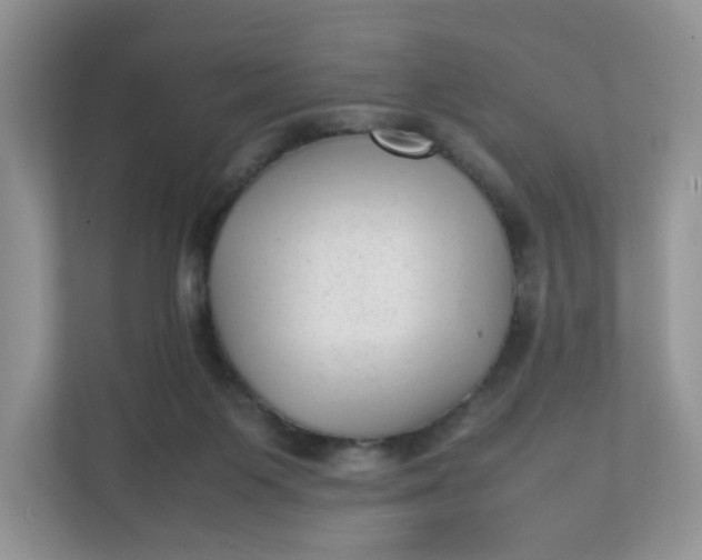 X0000112040119200908171519
