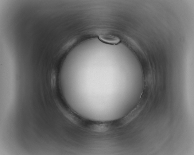 X0000112040120200908171519