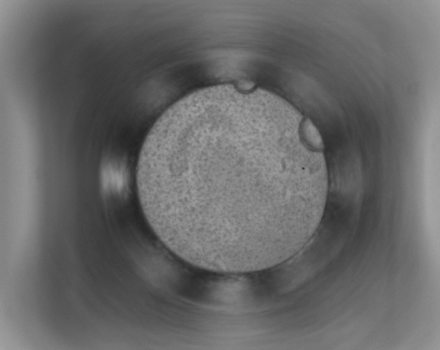 X0000112040124200908171519