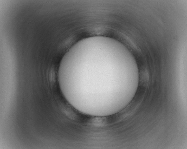 X0000112040126200908171519