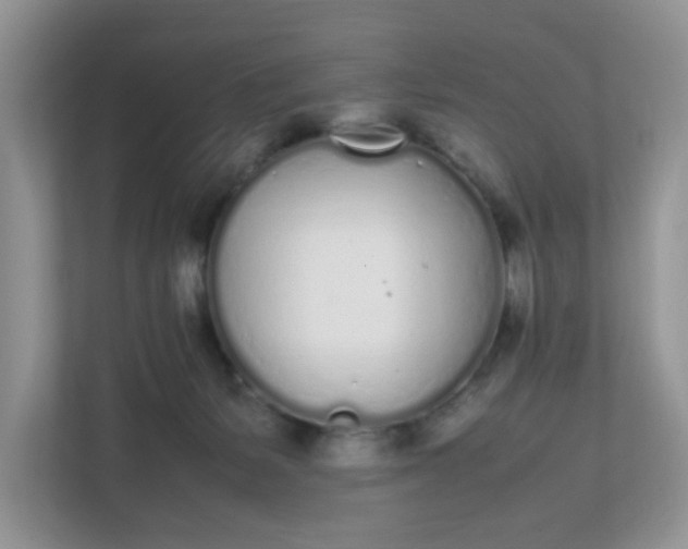 X0000112040127200908171519