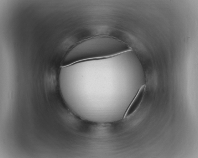 X0000112040128200908171519