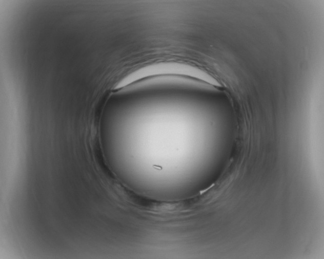 X0000112040129200908171519