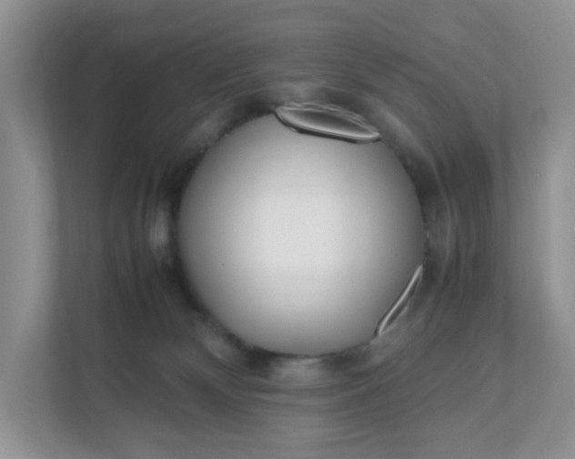 X0000112040132200908171519