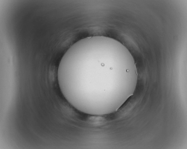 X0000112040133200908171519