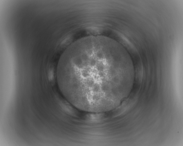 X0000112040134200908171519