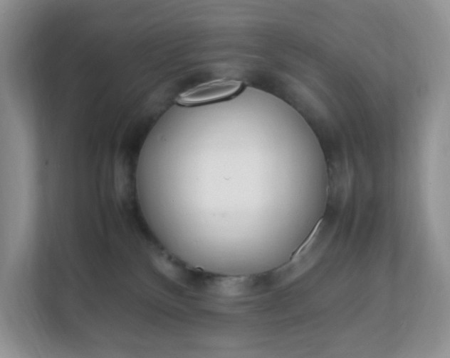 X0000112040136200908171519
