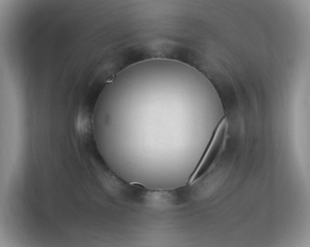 X0000112040137200908171519