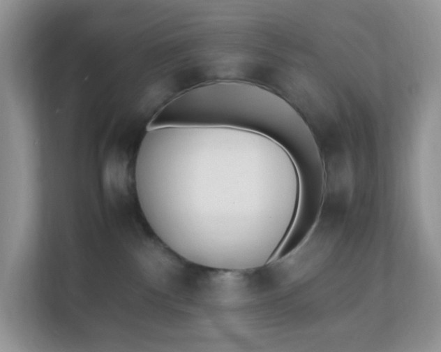 X0000112040140200908171518