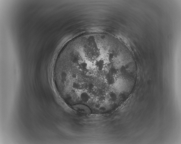 X0000112040145200908171518