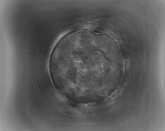 X0000112040147200908171518