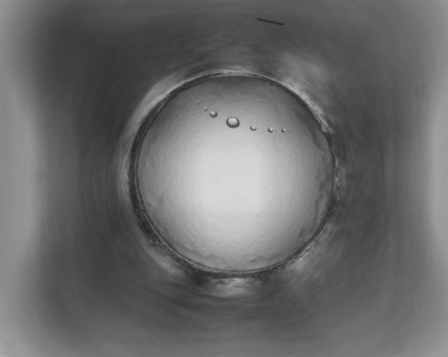 X0000112040151200908171518