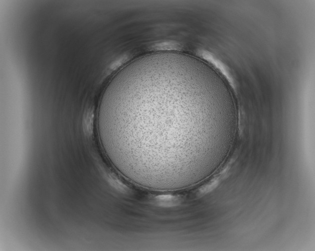X0000112040153200908171518