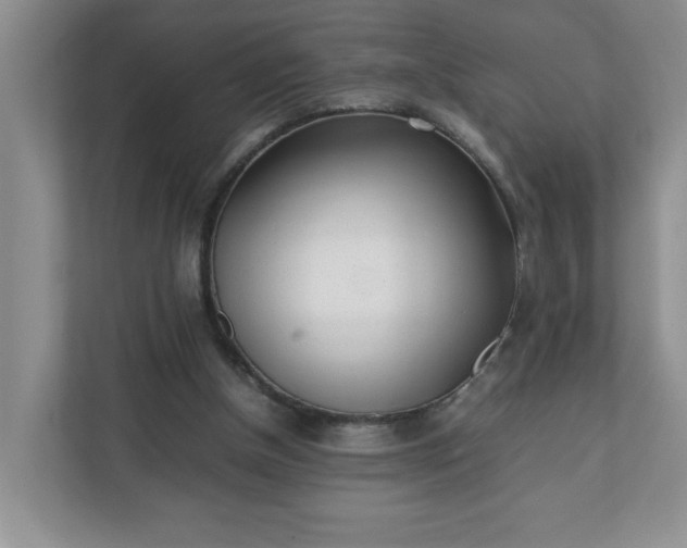 X0000112040154200908171518