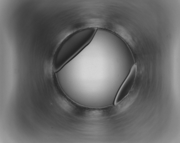 X0000112040156200908171518