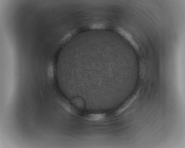 X0000112040161200908171518