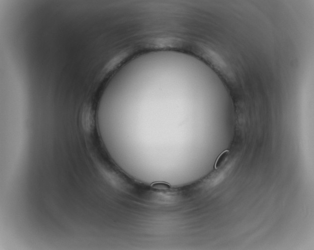 X0000112040164200908171518