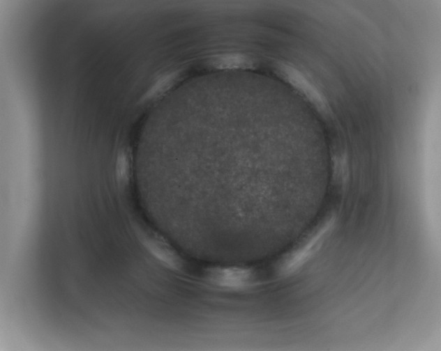 X0000112040165200908171518