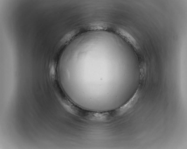 X0000112040166200908171518