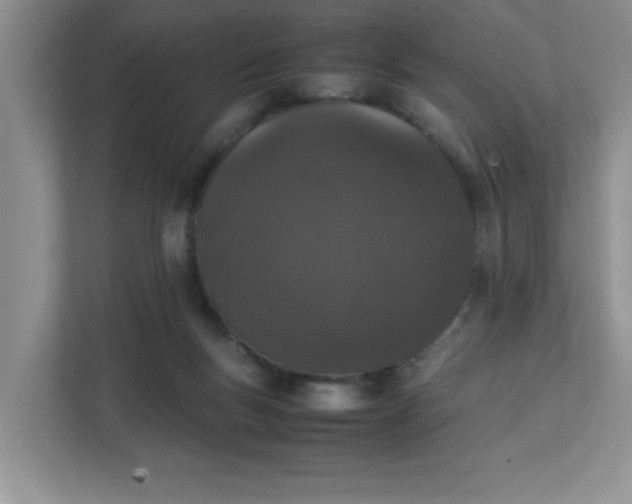 X0000112040167200908171518