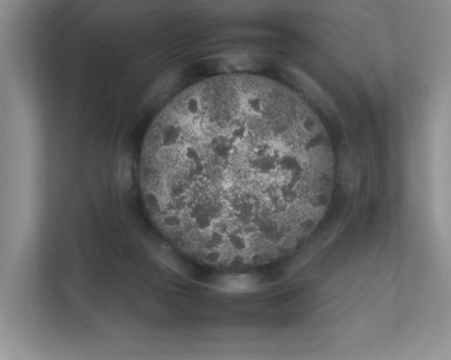 X0000112040169200908171518