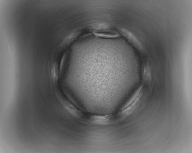 X0000112040170200908171518