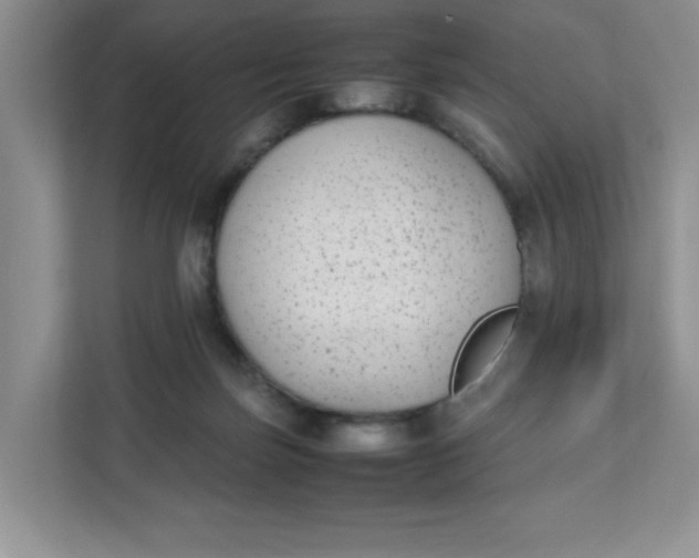 X0000112040171200908171518