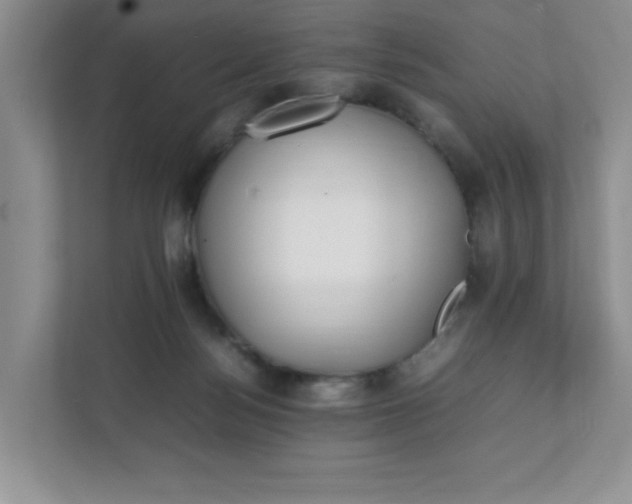 X0000112040172200908171518