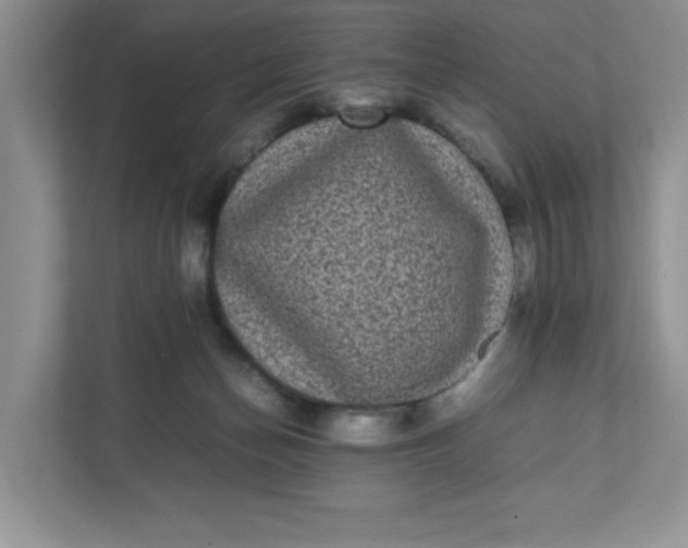 X0000112040174200908171518