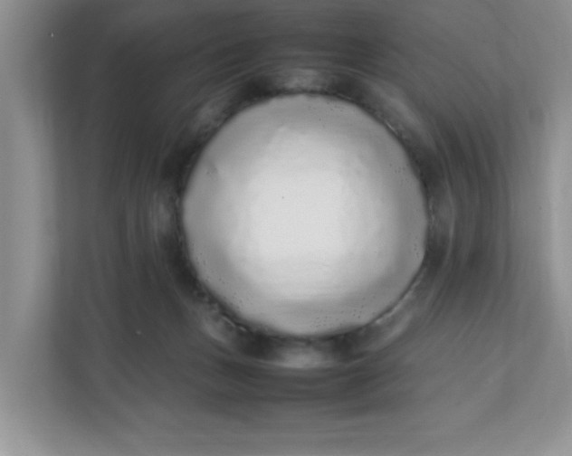 X0000112040175200908171518