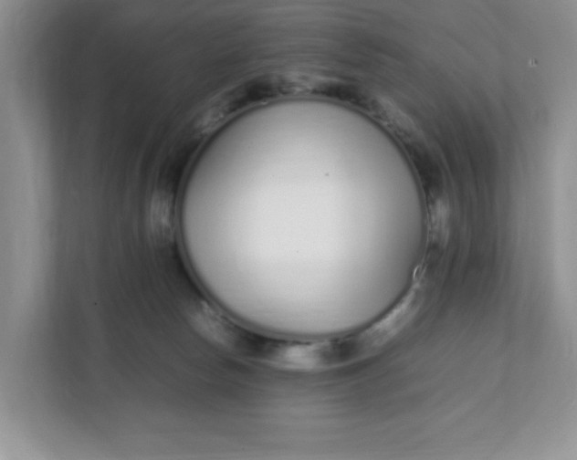 X0000112040178200908171518