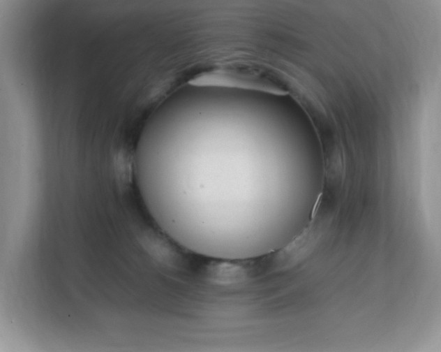 X0000112040180200908171518