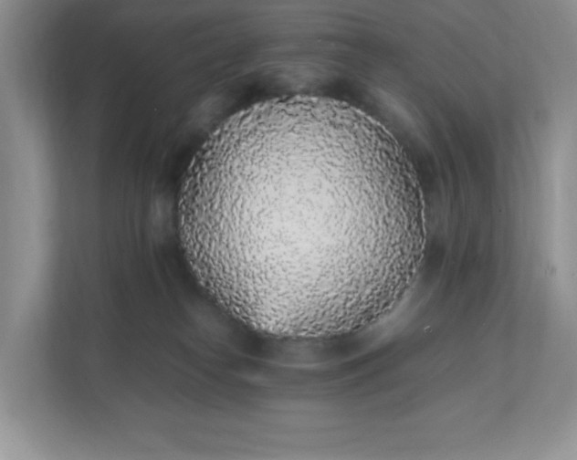 X0000112040182200908171518