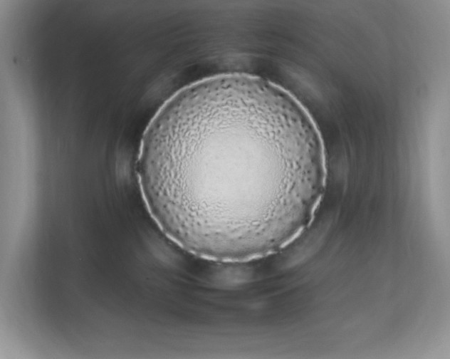 X0000112040185200908171518