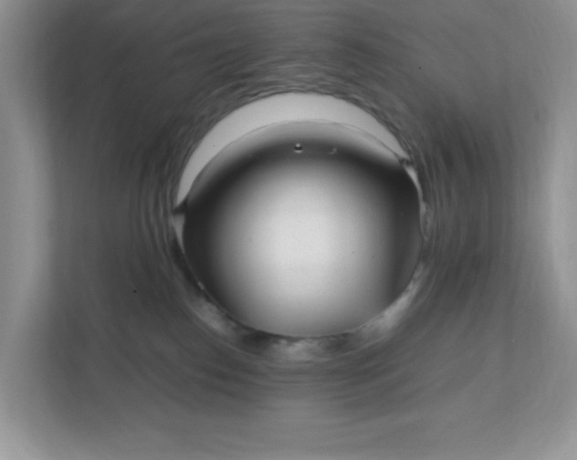 X0000112040186200908171518