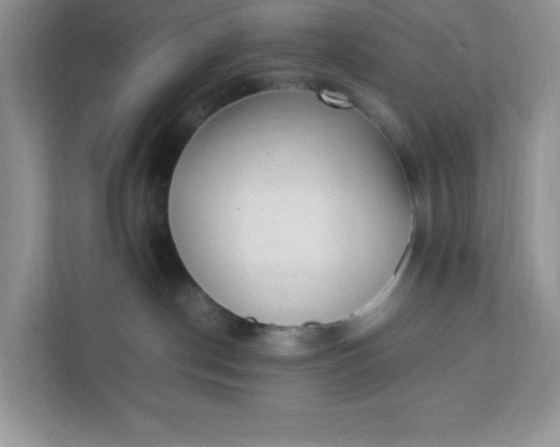 X0000112040190200908171518