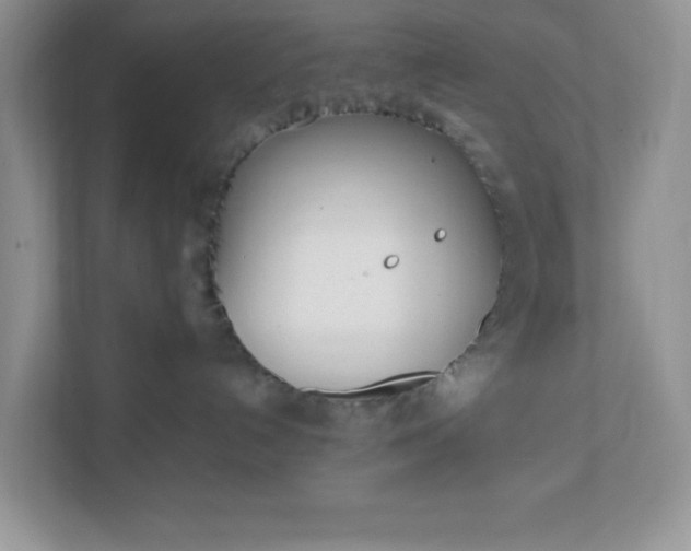 X0000112040192200908171518