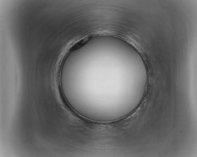 X0000112040193200908171518