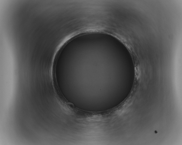 X0000112040196200908171518