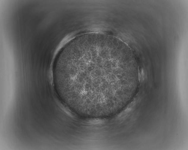 X0000112040198200908171518