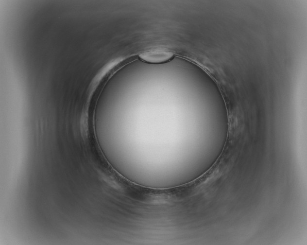 X0000112040200200908171518