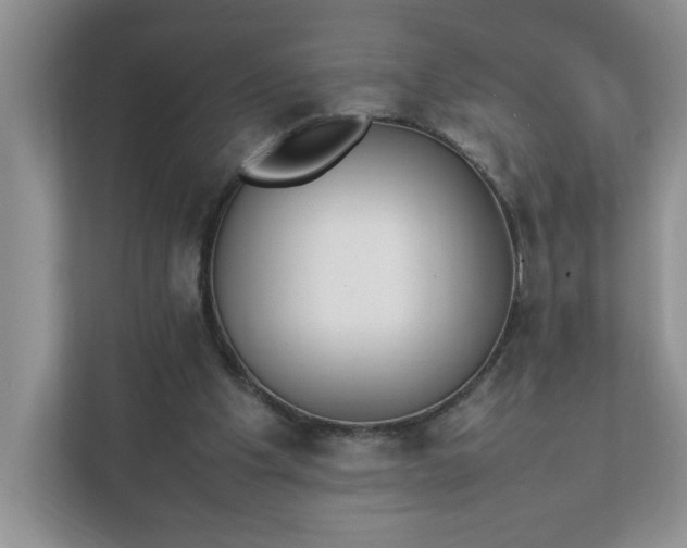 X0000112040201200908171518