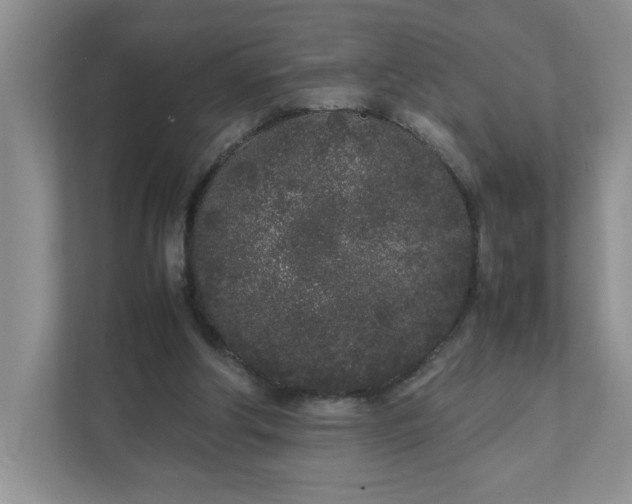 X0000112040202200908171518